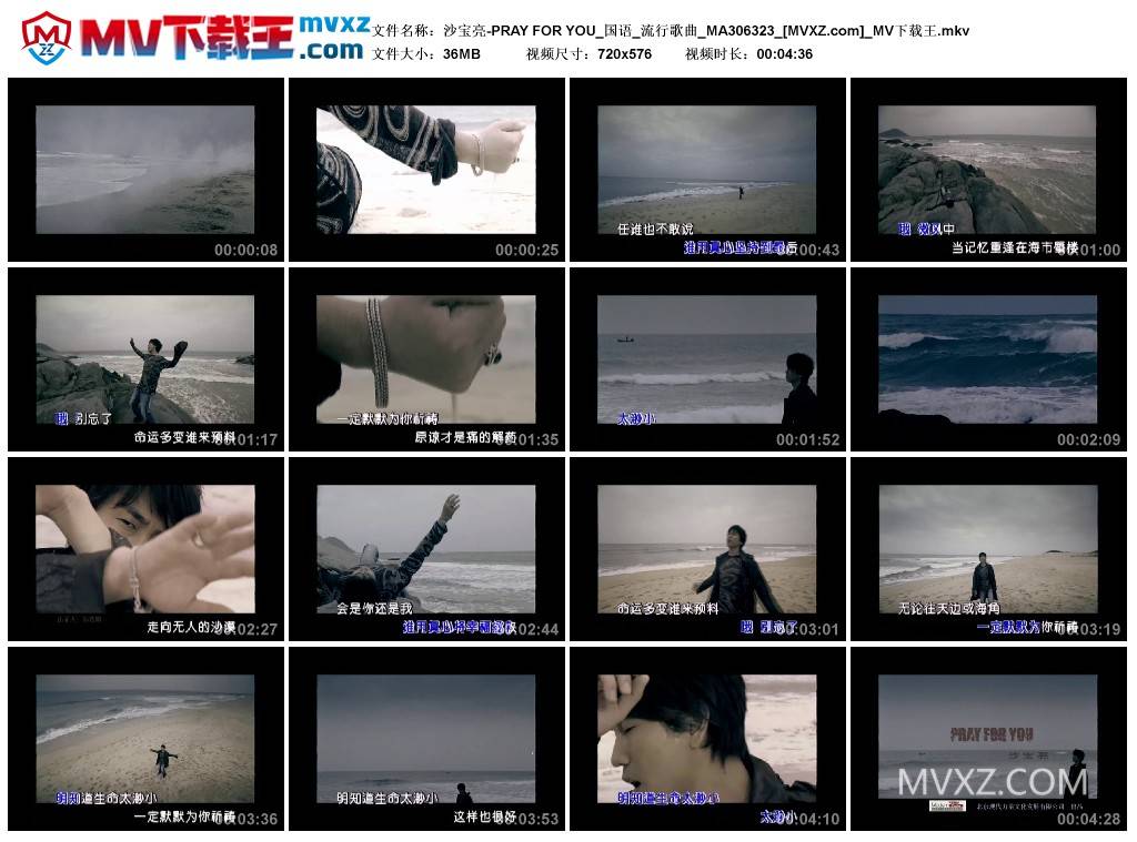 沙宝亮-PRAY FOR YOU_国语_流行歌曲_MA306323